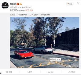 91实拍,捕捉生活瞬间，记录美好时光