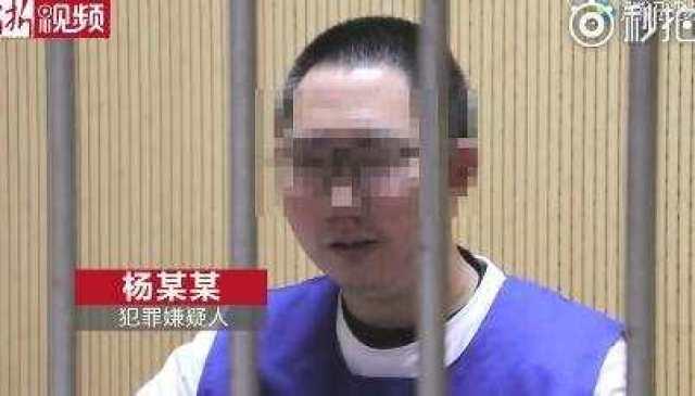 91夯先生磁力,揭秘网络磁力链接的奥秘与应用