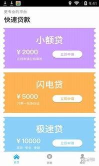 91有钱人,揭秘高净值人群的财富密码